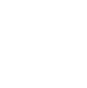 savedisk